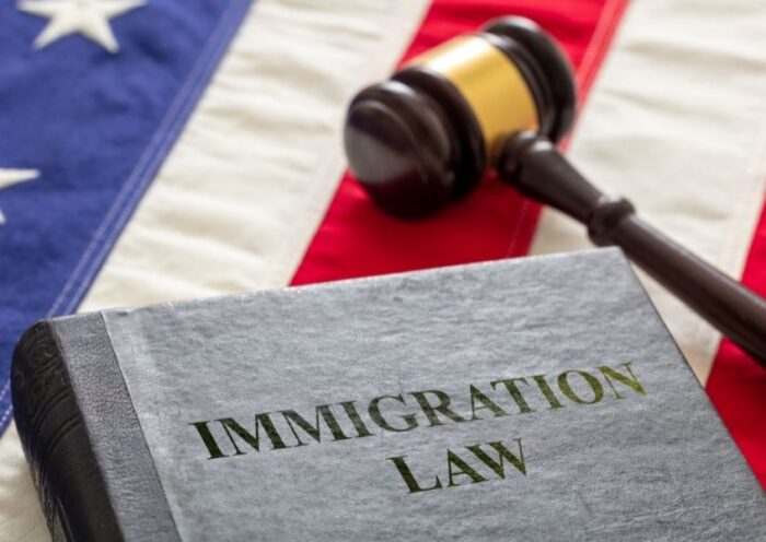 Immigration Attorney