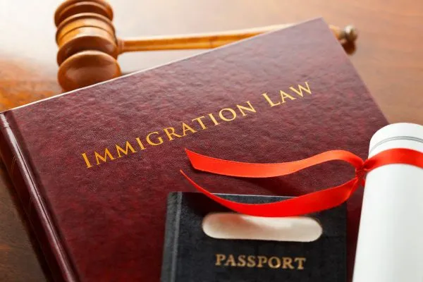 Immigration Attorney